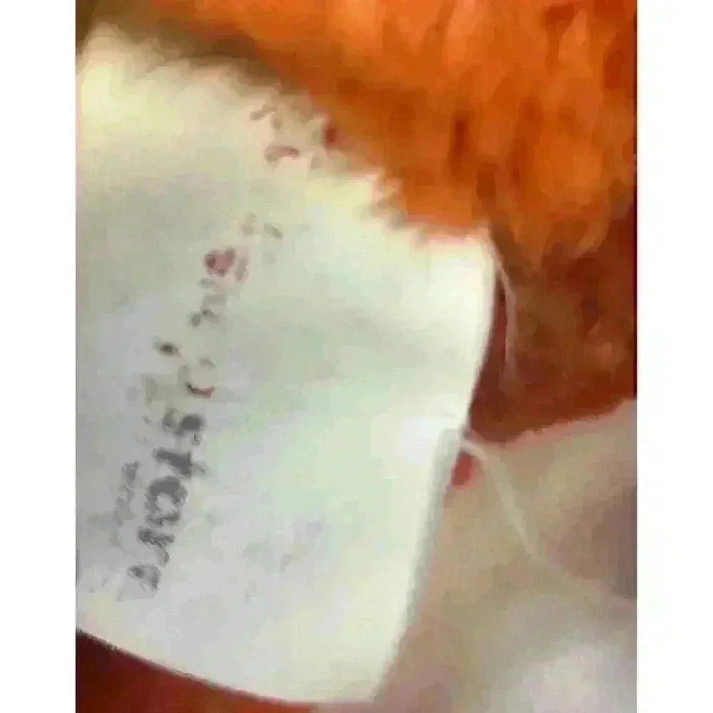Disney Store Lying Tigger 14
